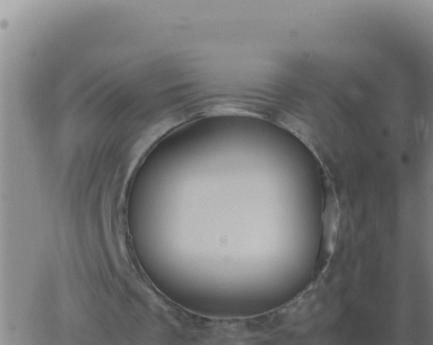 X0000062930289200601202034