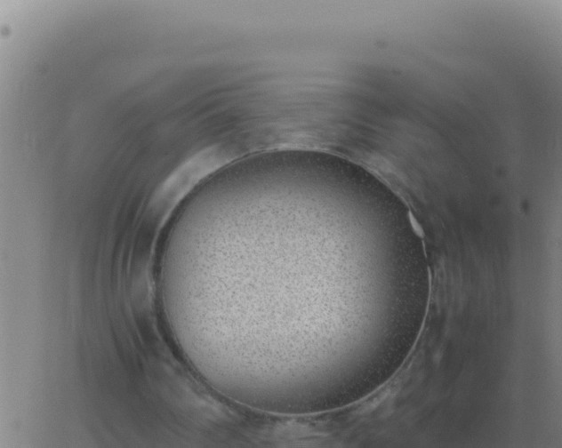 X0000062930290200601202034