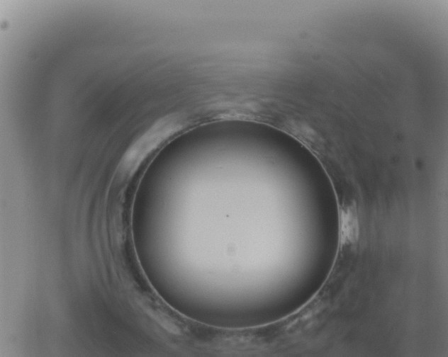 X0000062930291200601202034