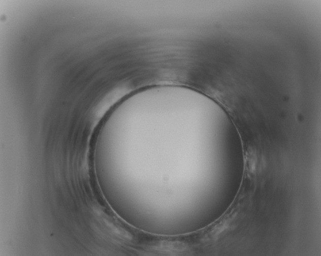 X0000062930292200601202034