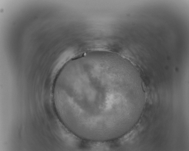 X0000062930293200601202034