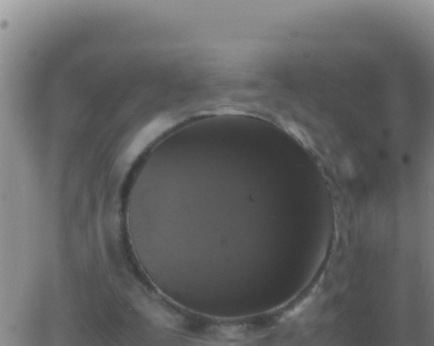 X0000062930295200601202034