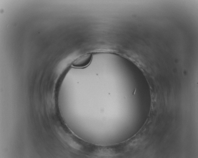 X0000062930296200601202034