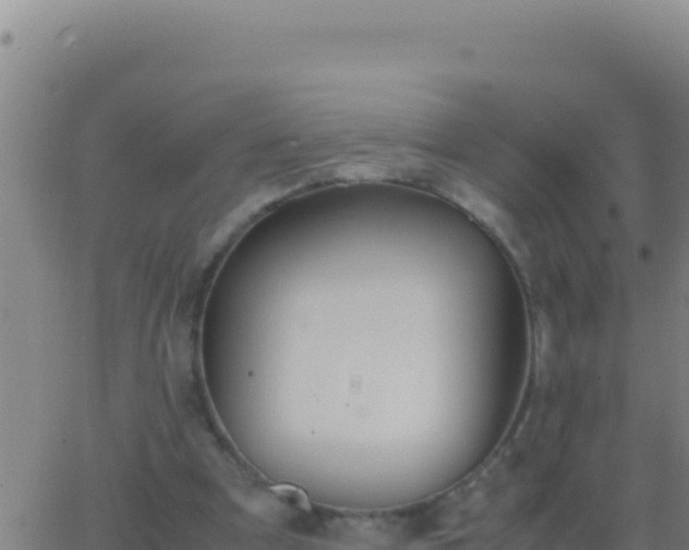 X0000062930297200601202034