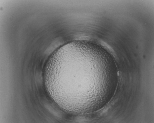 X0000062930298200601202034