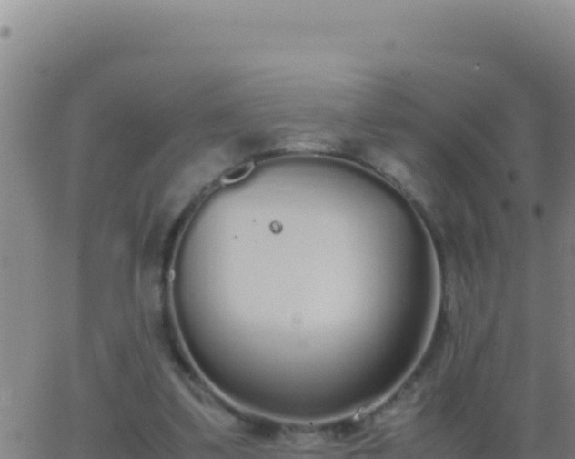 X0000062930299200601202033