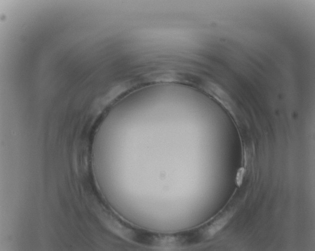 X0000062930301200601202033