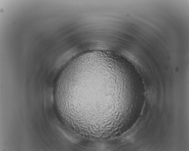 X0000062930302200601202033