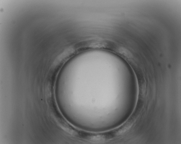 X0000062930303200601202033