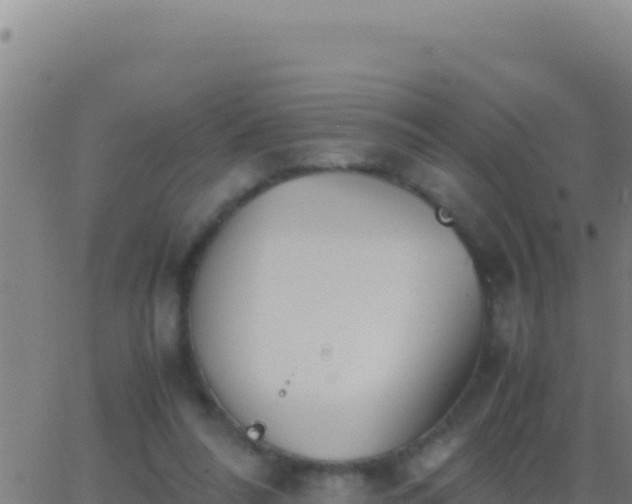 X0000062930304200601202033