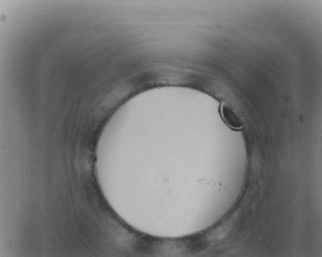 X0000062930305200601202033