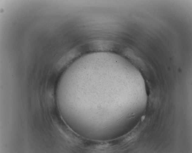 X0000062930306200601202033