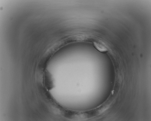 X0000062930307200601202033