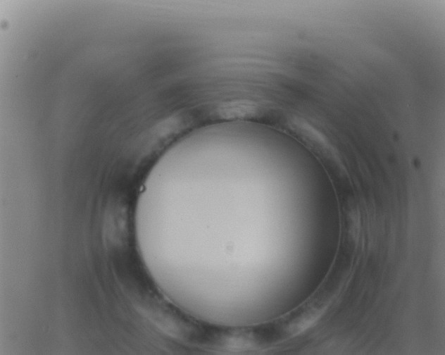 X0000062930308200601202033