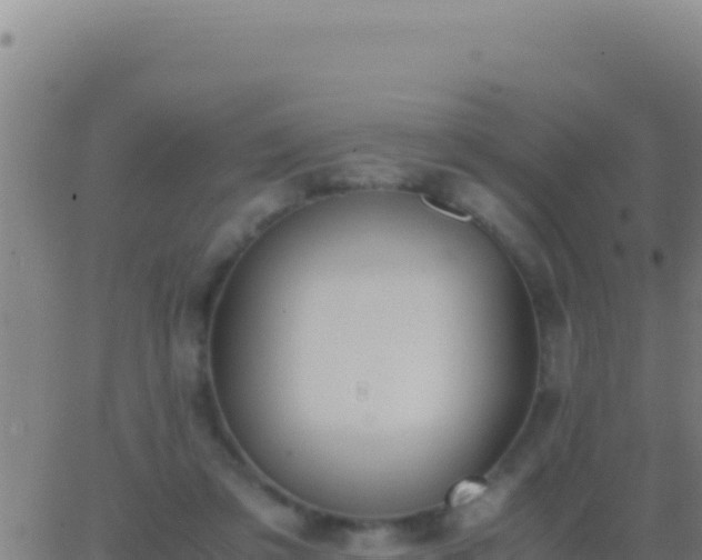 X0000062930309200601202033