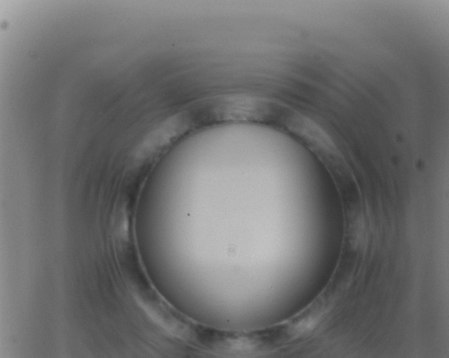 X0000062930310200601202033