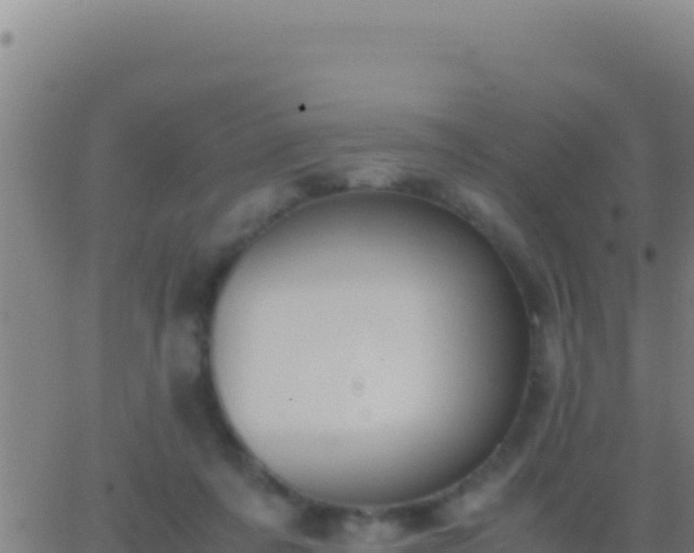 X0000062930311200601202033