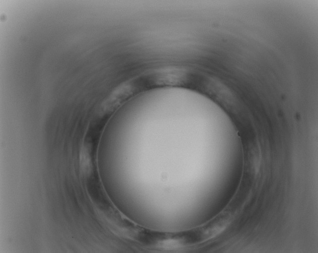 X0000062930312200601202033