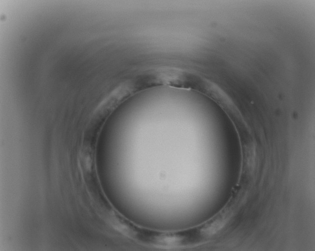 X0000062930313200601202033