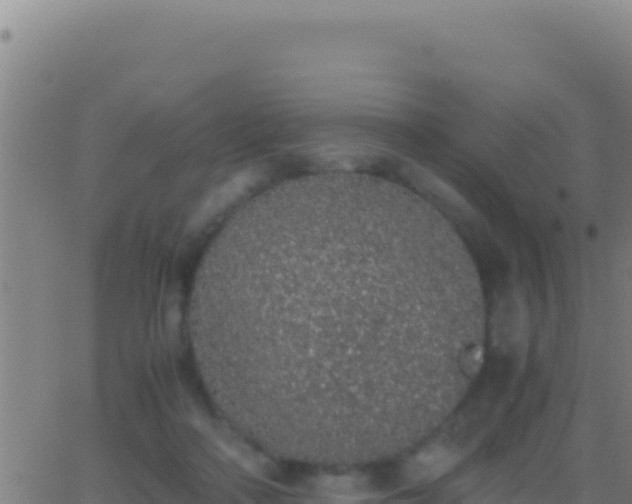 X0000062930314200601202033