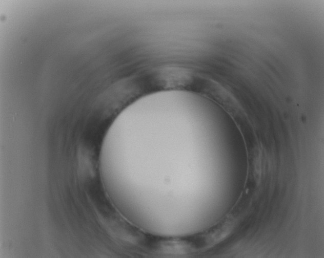 X0000062930316200601202033