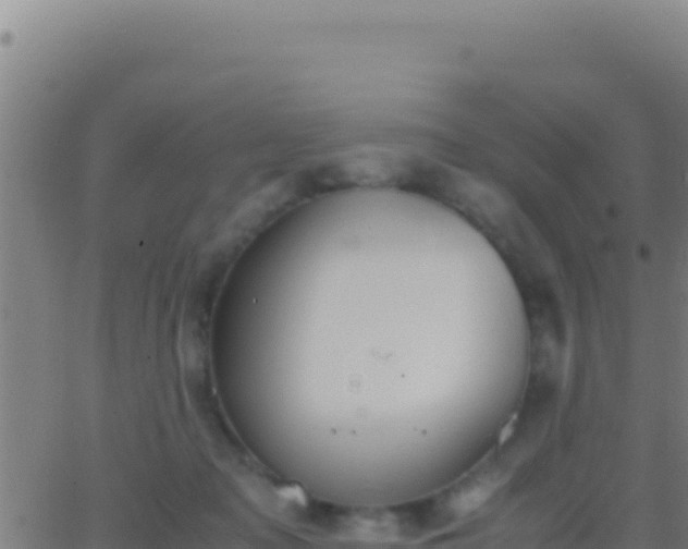 X0000062930317200601202033