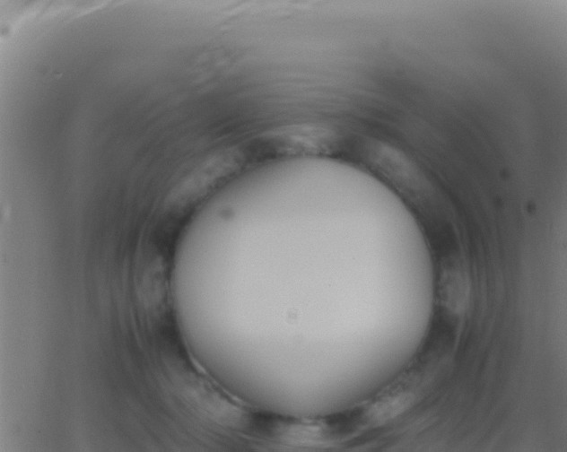 X0000062930318200601202033