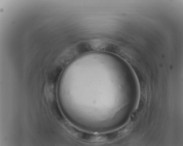 X0000062930319200601202033