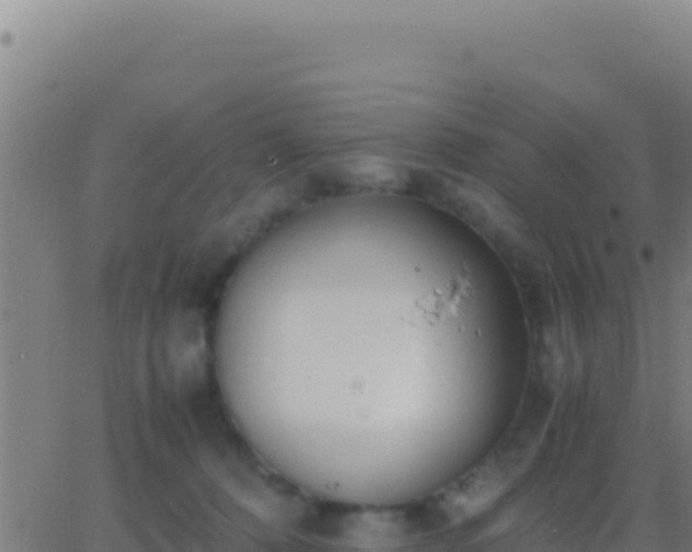 X0000062930320200601202033