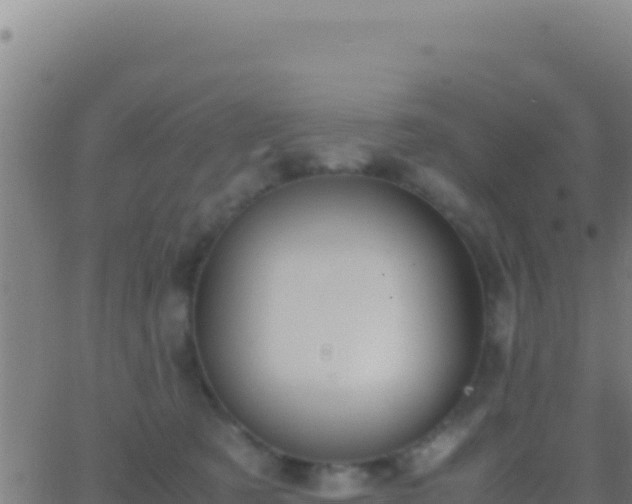 X0000062930321200601202033