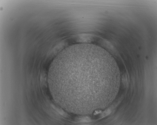 X0000062930322200601202033