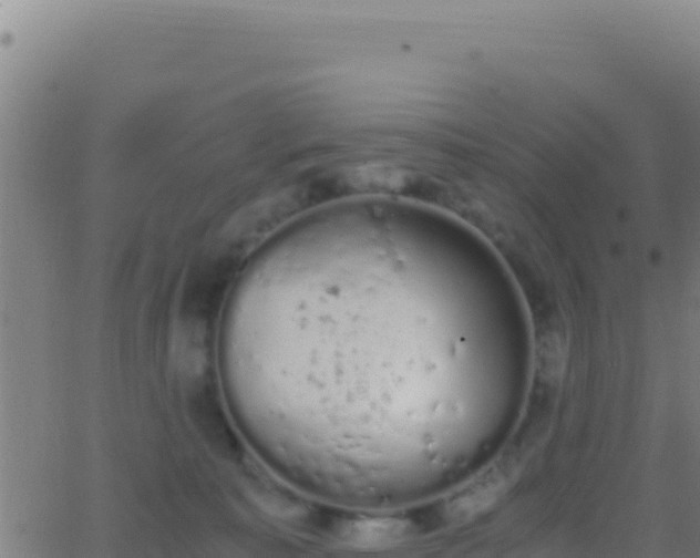 X0000062930323200601202033