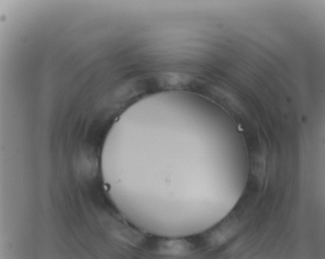 X0000062930324200601202033