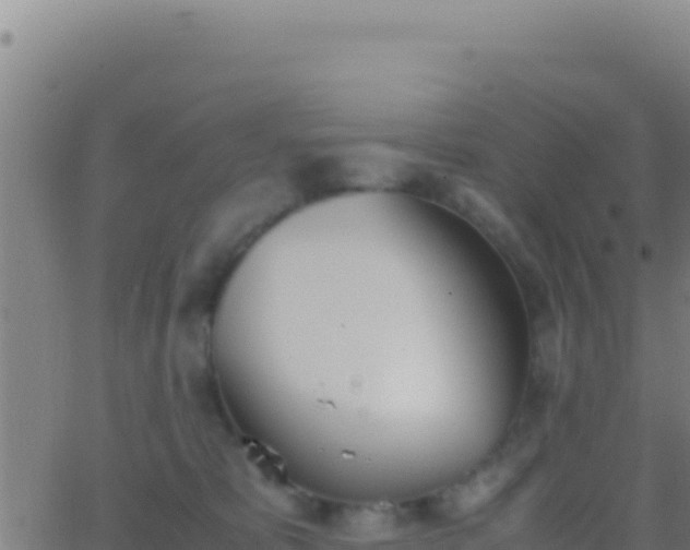 X0000062930325200601202033