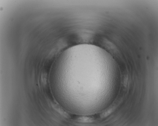 X0000062930326200601202033