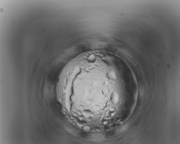 X0000062930327200601202033