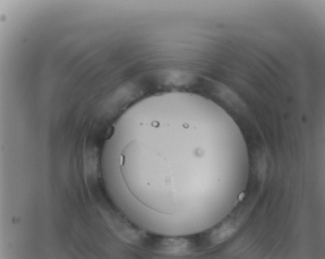 X0000062930328200601202033