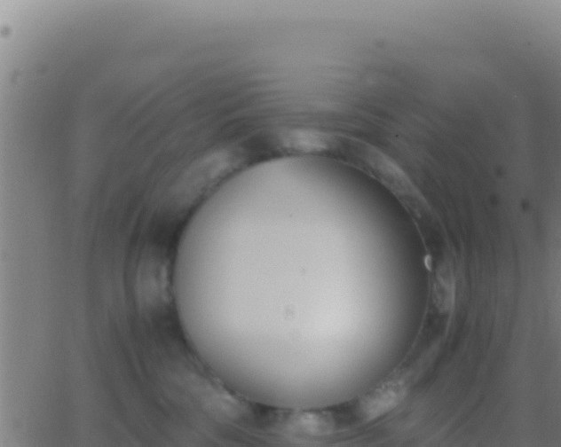 X0000062930330200601202033