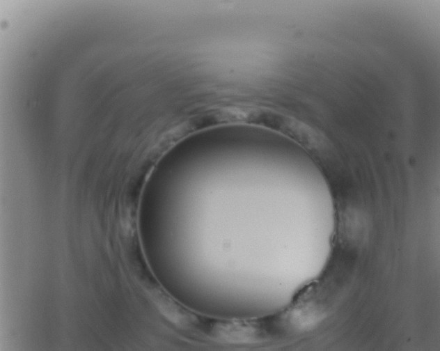 X0000062930331200601202033