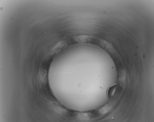 X0000062930332200601202033