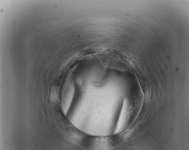 X0000062930335200601202033