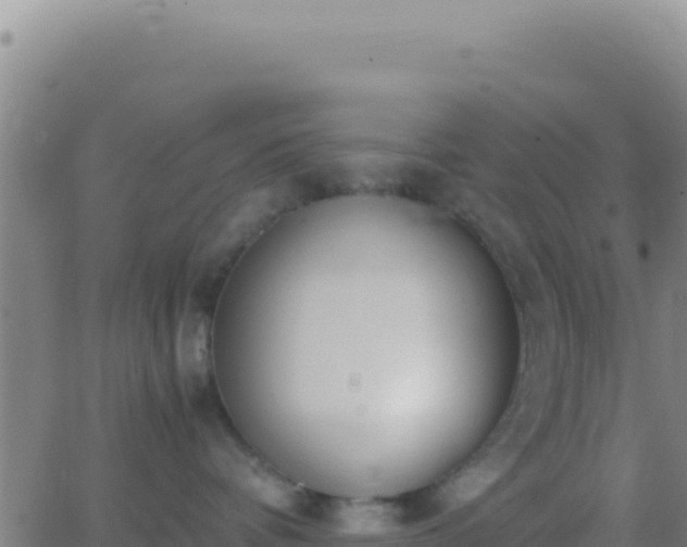 X0000062930336200601202033