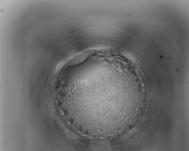 X0000062930337200601202032