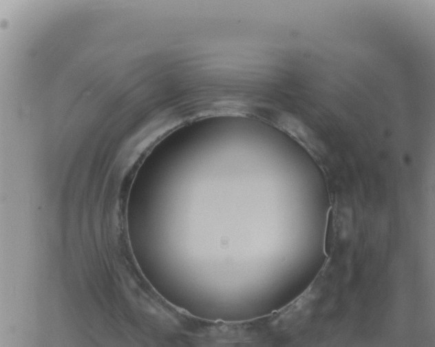 X0000062930338200601202032