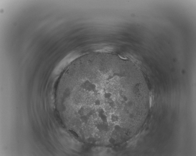 X0000062930339200601202032