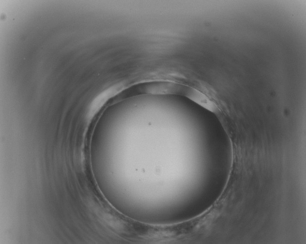 X0000062930340200601202032