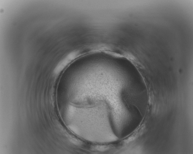 X0000062930341200601202032