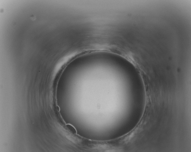 X0000062930342200601202032