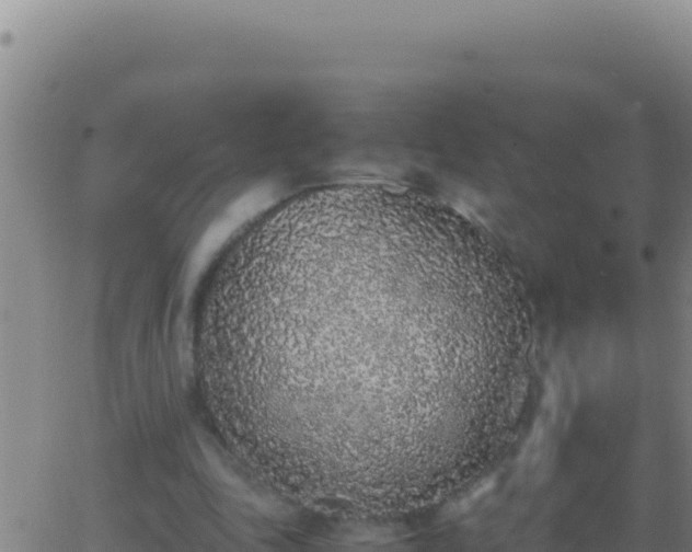 X0000062930343200601202032