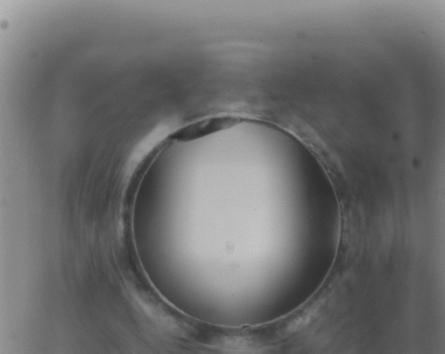 X0000062930344200601202032